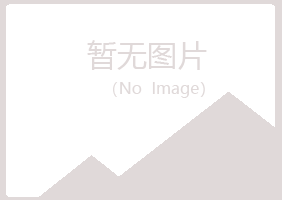 怒江夏岚采矿有限公司